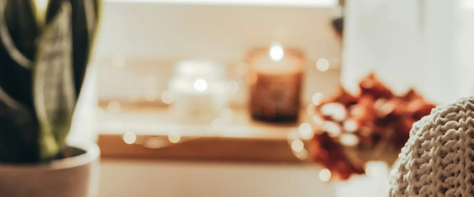 Velas acesas e uma planta, ambiente quente e acolhedor